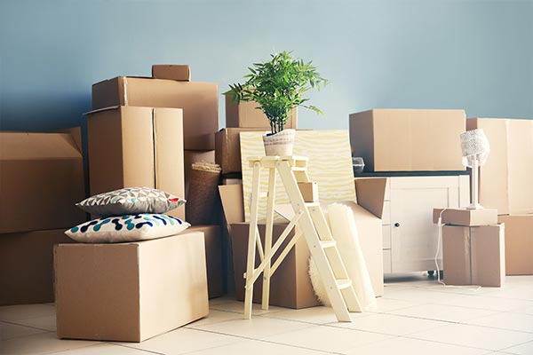 Varsha Relocation Packers and Movers Service 
